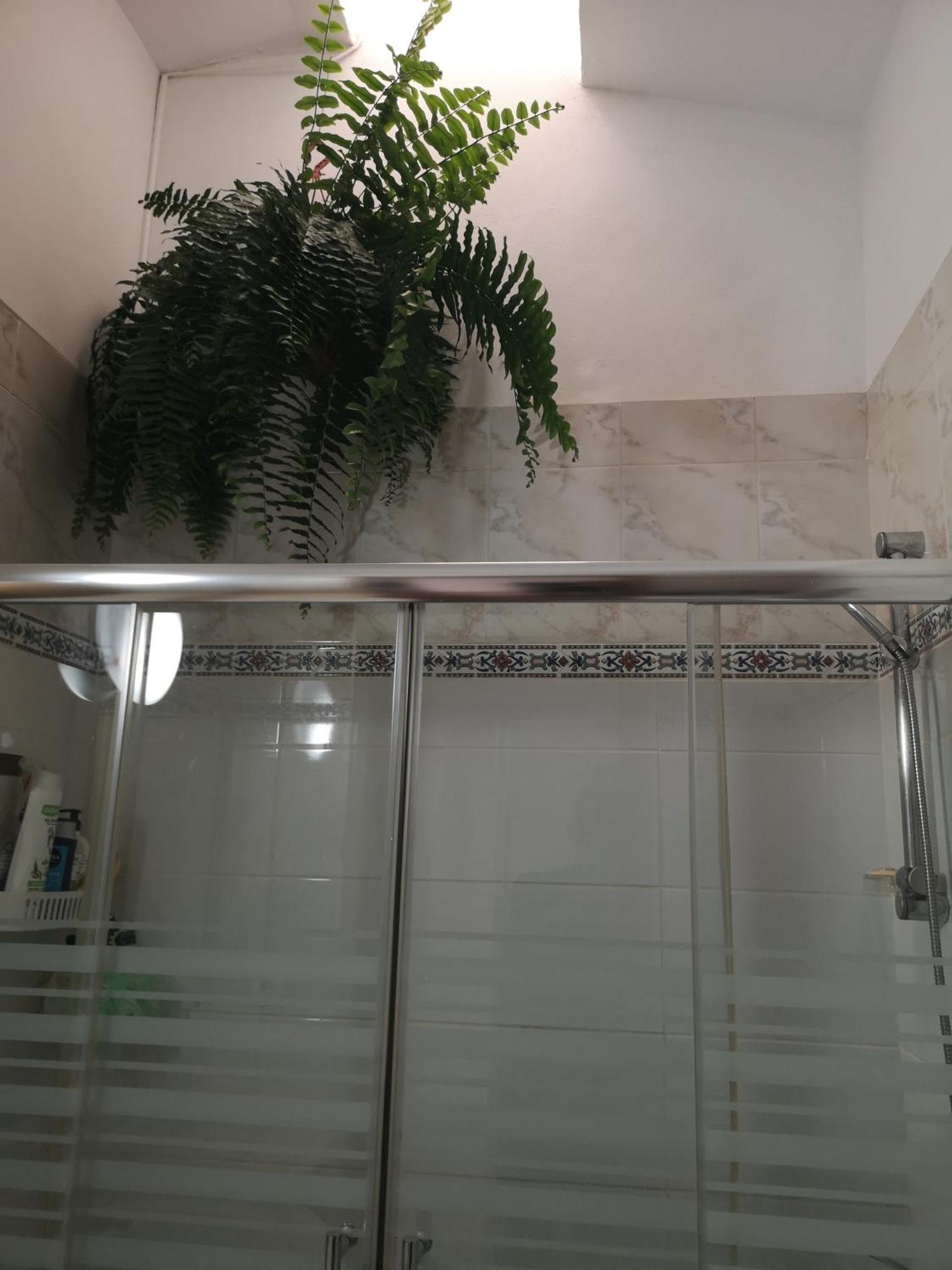Yumbo Room Maspalomas  Ngoại thất bức ảnh