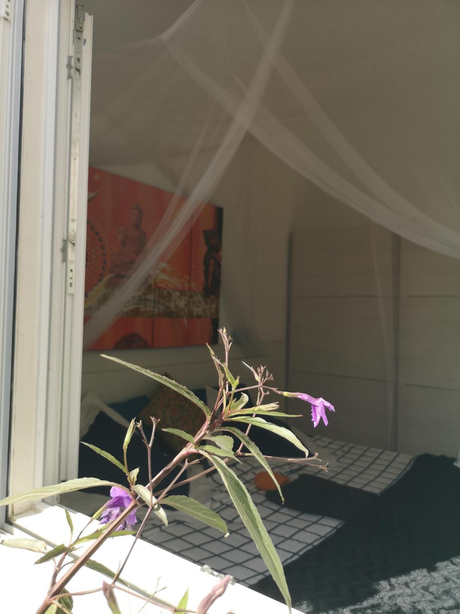 Yumbo Room Maspalomas  Ngoại thất bức ảnh